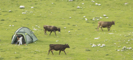 Durmitor 2013